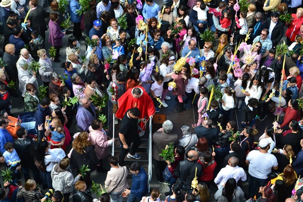 Domingo de ramos