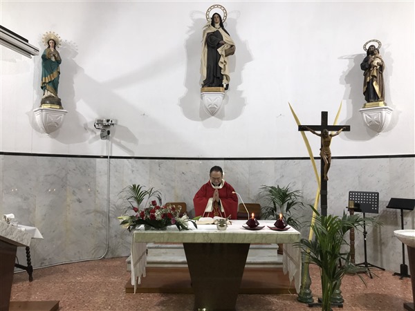 Domingo de ramos