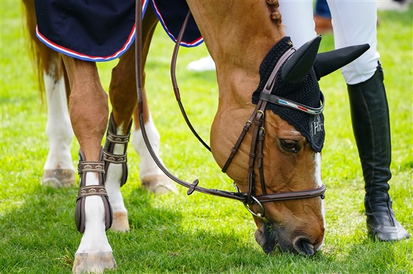 00153634-155-scoopdyga