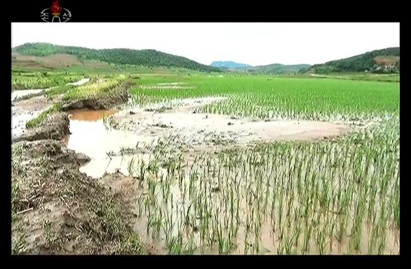 Footage of flooding and damage after rainfall in late June. Source: KCTV.