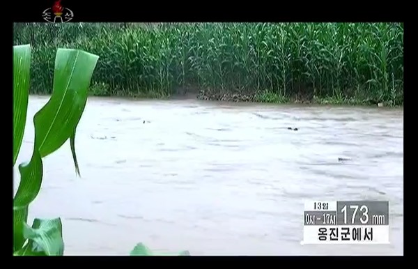 Flooded agricultural fields in Ongjin County, July 13. Source: KCTV.