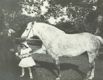 Libejic 1908 - Eleonore Schwarzenberg holding horses hoof