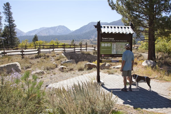 Mammoth Lakes Trail System | Walking on Sierra Park Road and Old