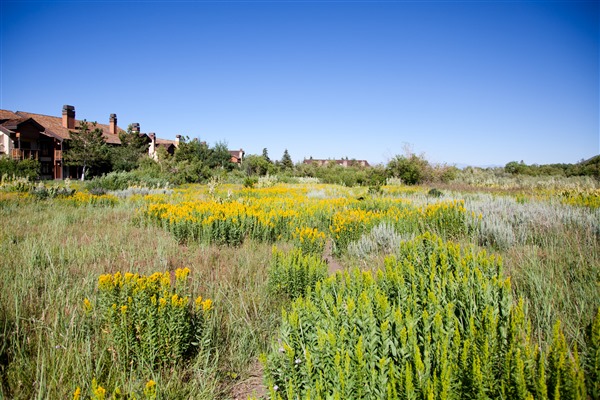 Mammoth Lakes Trail System | Snowcreek Meadow