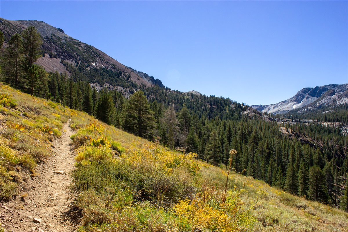 Heart lake hotsell trail yellowstone