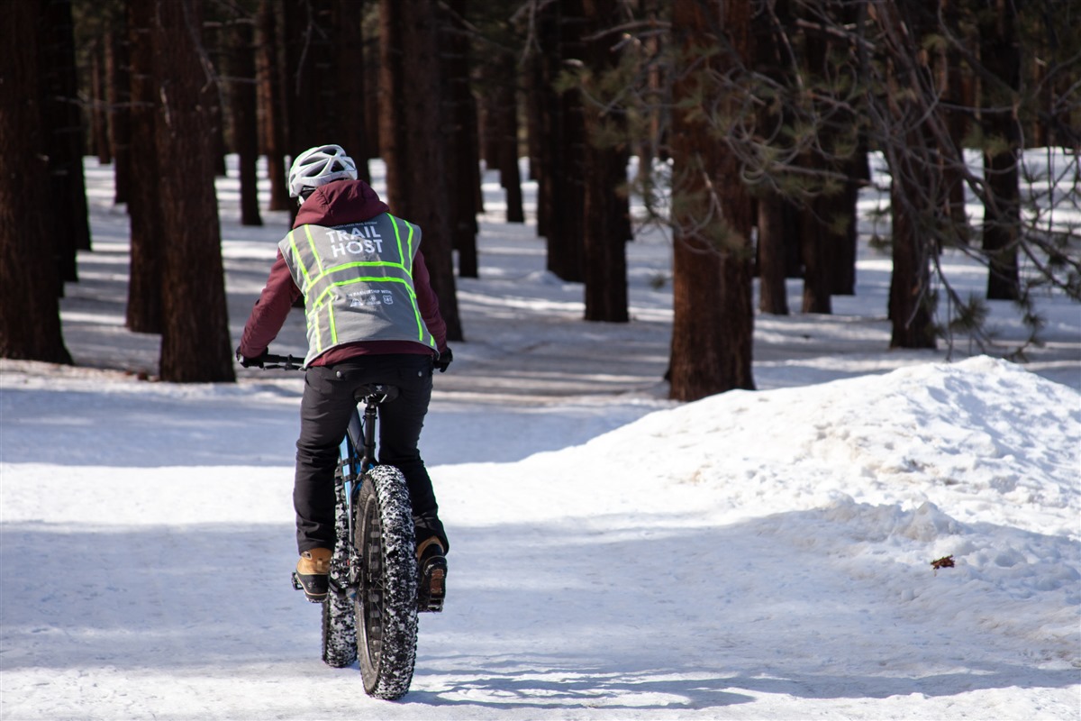Mammoth fat bike deals