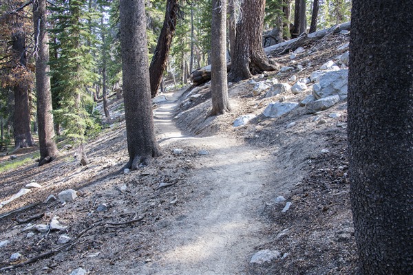 Horseshoe Trivet  Wilderness Road Mercantile